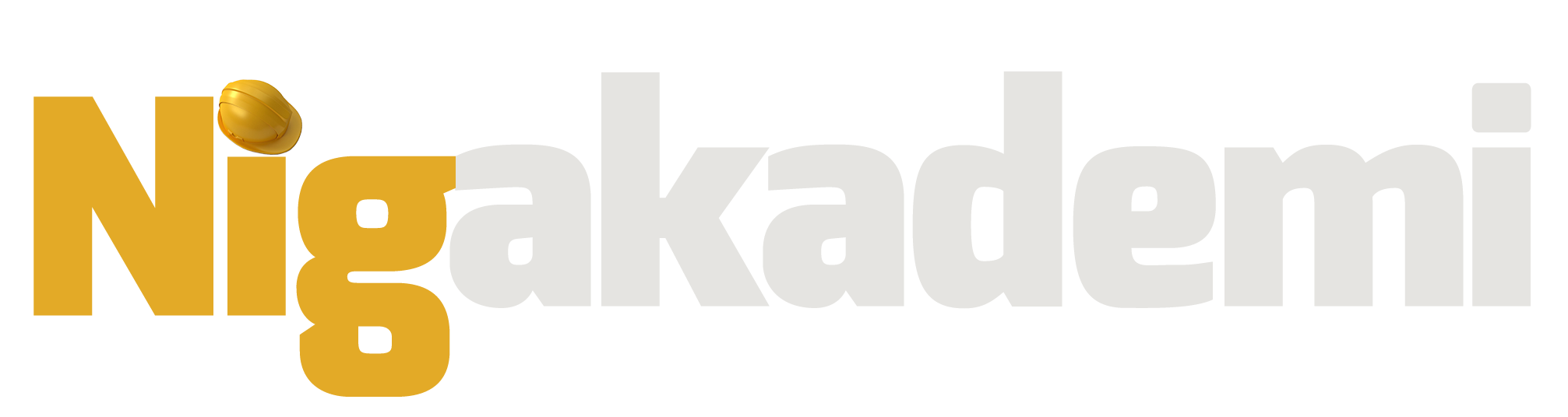 NİG Akademi